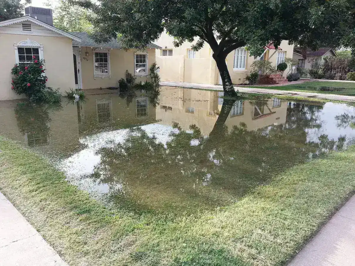 A flood-irrigated front lawn in a historic Phoenix neighborhood